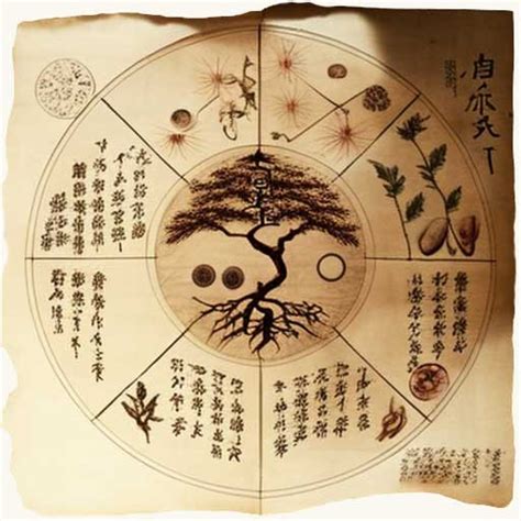 Chen Xi/Qi Cultivation .